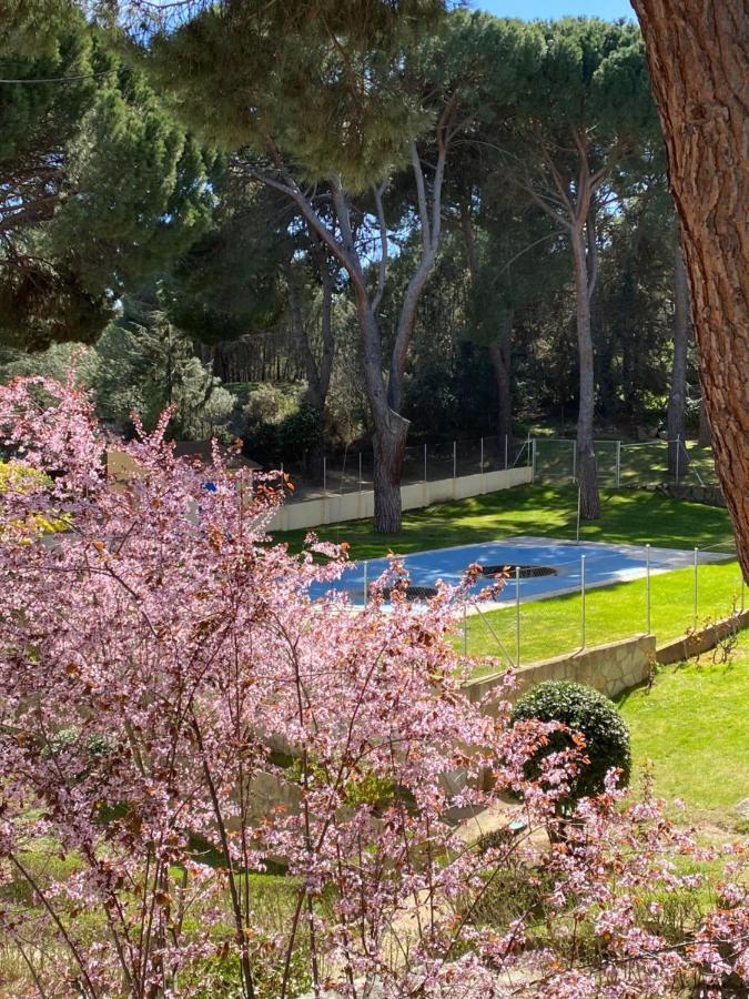 Apt Romantico Con Chimenea Con Fibra Optica Y Terraza San Martín de Valdeiglesias Εξωτερικό φωτογραφία