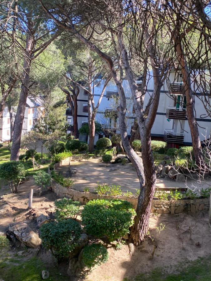 Apt Romantico Con Chimenea Con Fibra Optica Y Terraza San Martín de Valdeiglesias Εξωτερικό φωτογραφία